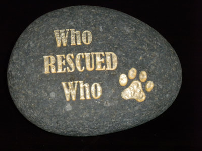 Who Rescued Who
engraved rock
