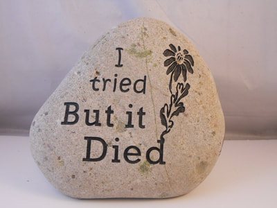I Tried But It Died
engraved stone sign