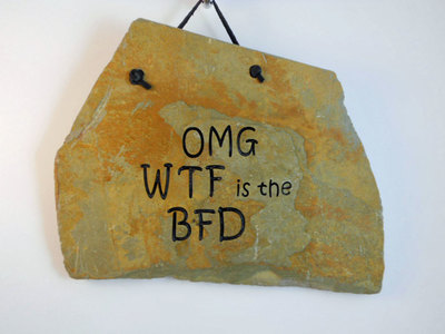 OMG WTF is The BFD engraved stone sign