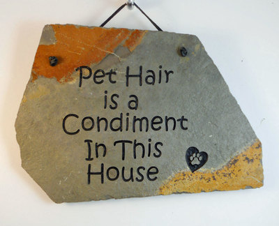 Pet Hair is a Condiment In This House
funny engraved stone sign