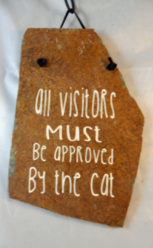 All Visitors Must Be Approved By the Cat
funny engraved stone sign