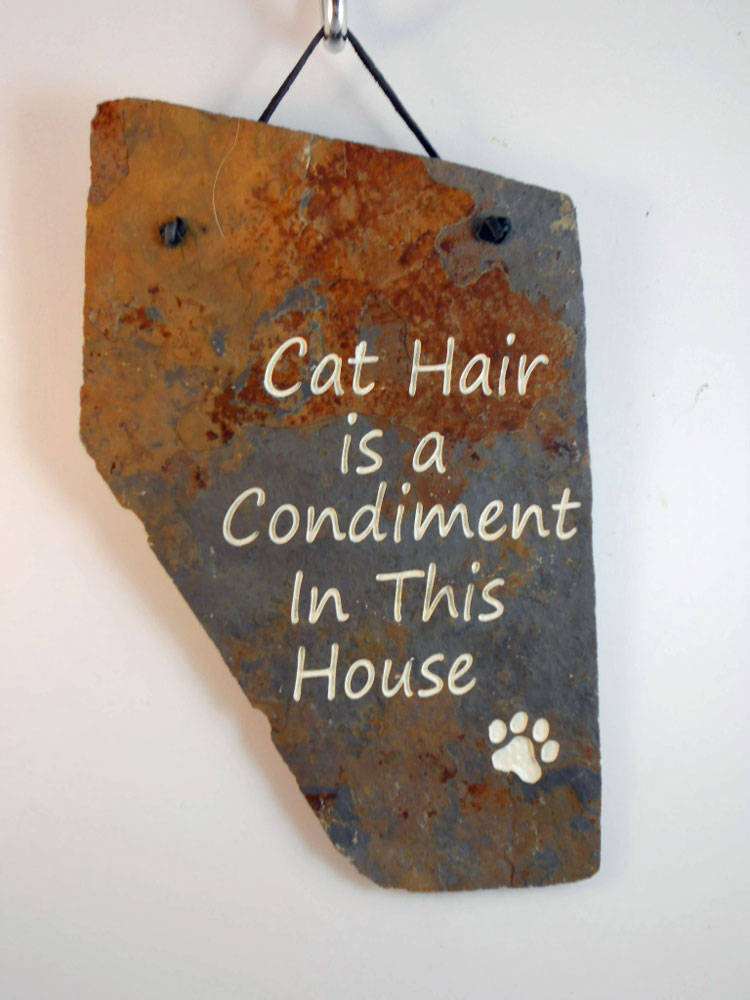 engraved rock sign for cat owners - cat hair is a condiment in this home