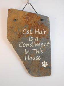 Cat Hair is a Condiment in This House
funny engraved stone sign