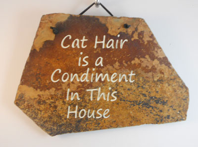 Funny Cat Stone Plaque Signs 