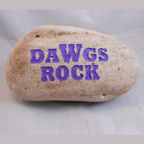 DaWgs Rock University of Washington engraved rock