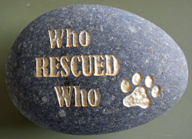 engraved pet gravestone sign with "who rescued who"