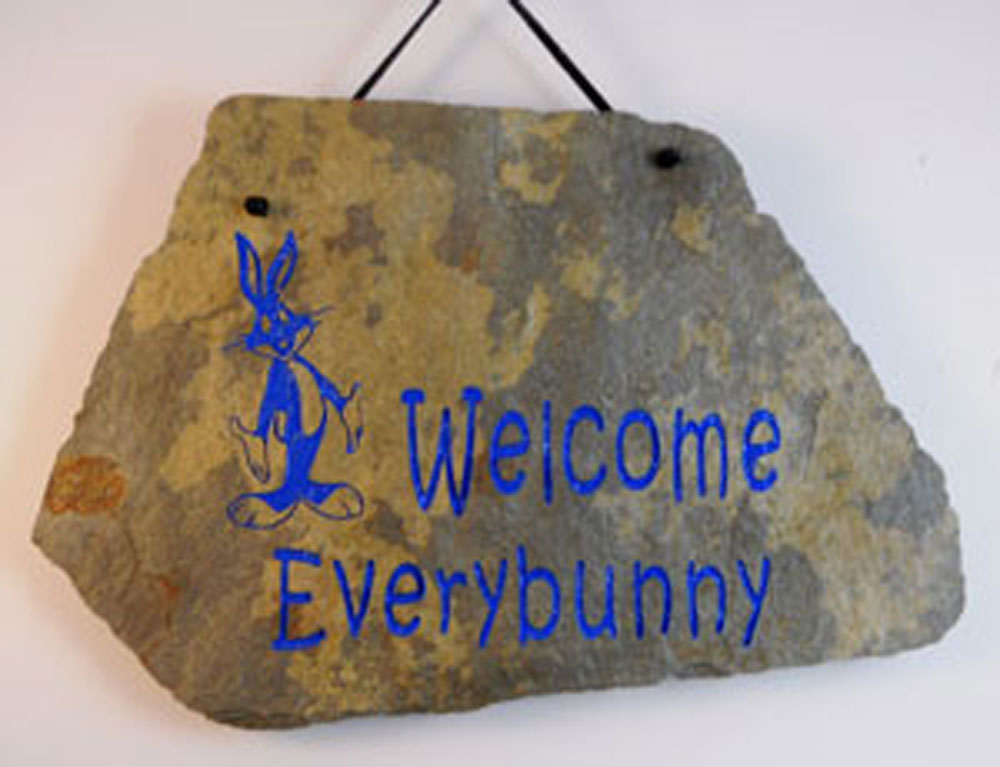 Personalized Engraved  Rock and plaque funny home welcome sign