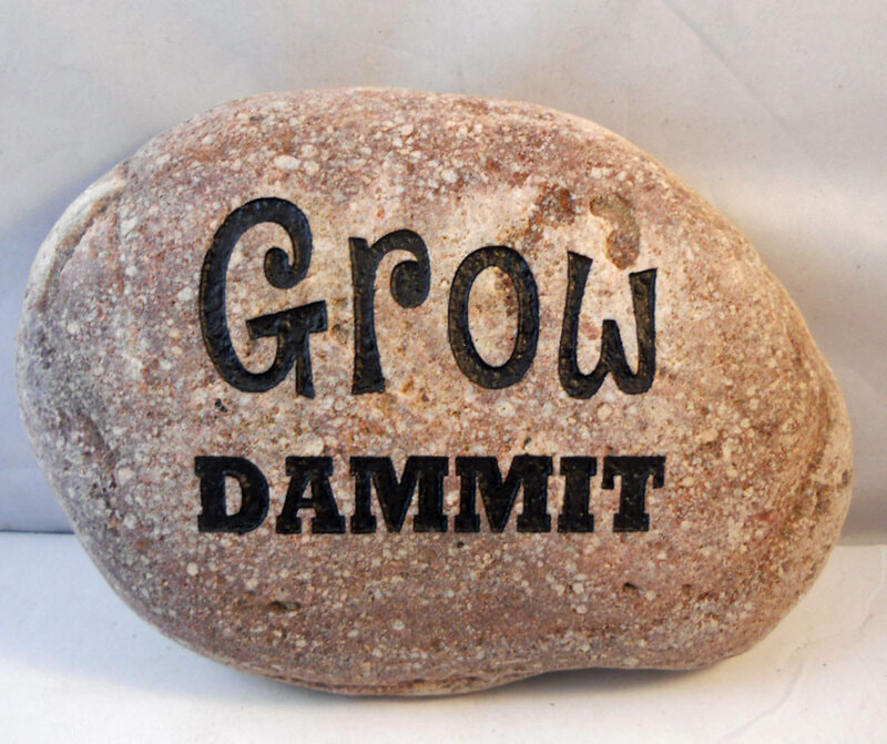 "Grow Dammit" engraved rock