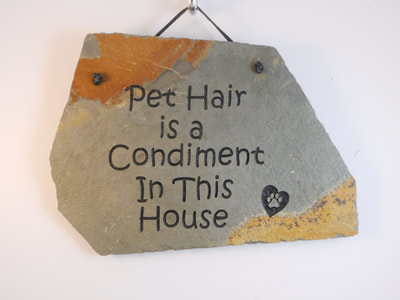 "Pet Hair is a Condiment in This House" engraved sign