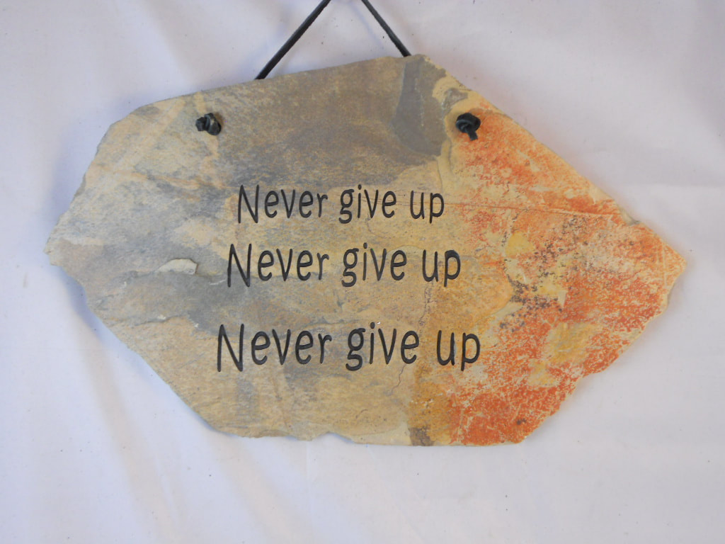 Never Give Up - Office Plaque Signs