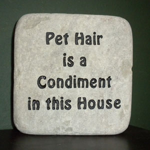 Pet Hair is a Condiment in this House
funny engraved stone