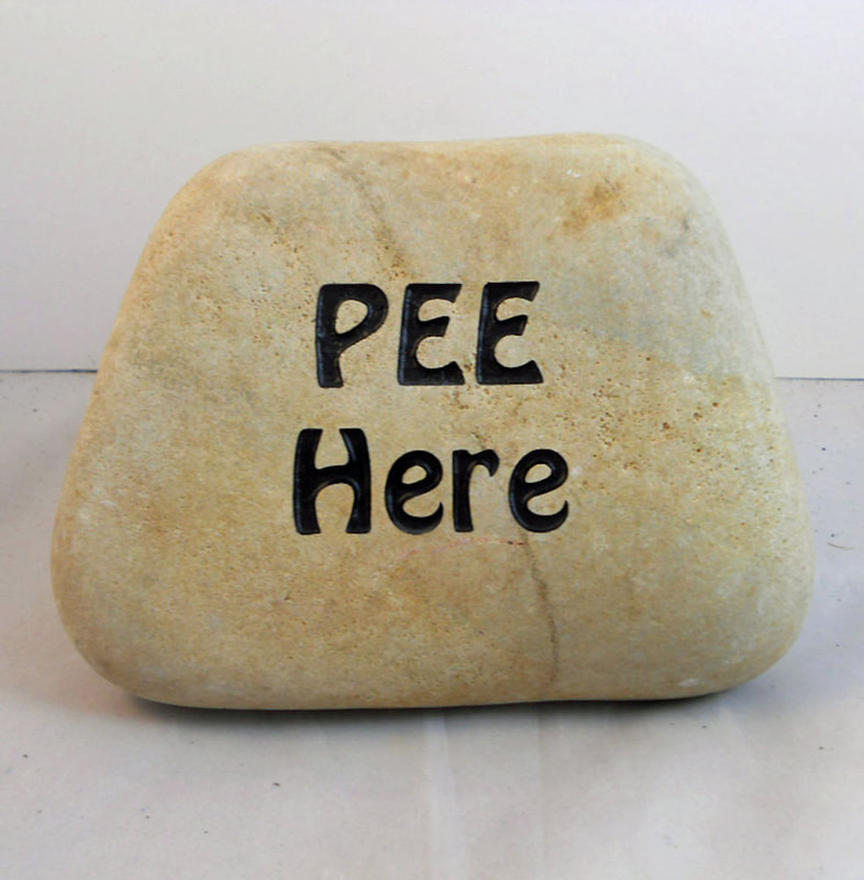 Pee Here
funny engraved stone