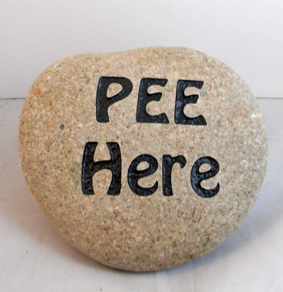 engraved rock sign for pet owners - Pee Here