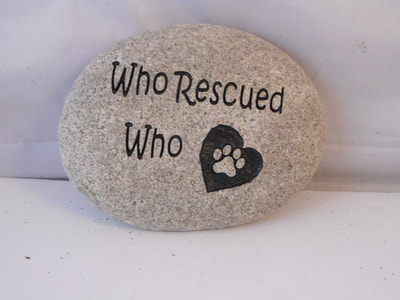 engraved rock with who rescued who and paw print
